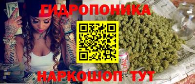 jwh Новозыбков