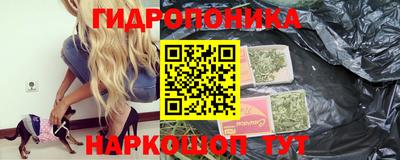 МДПВ Новодвинск