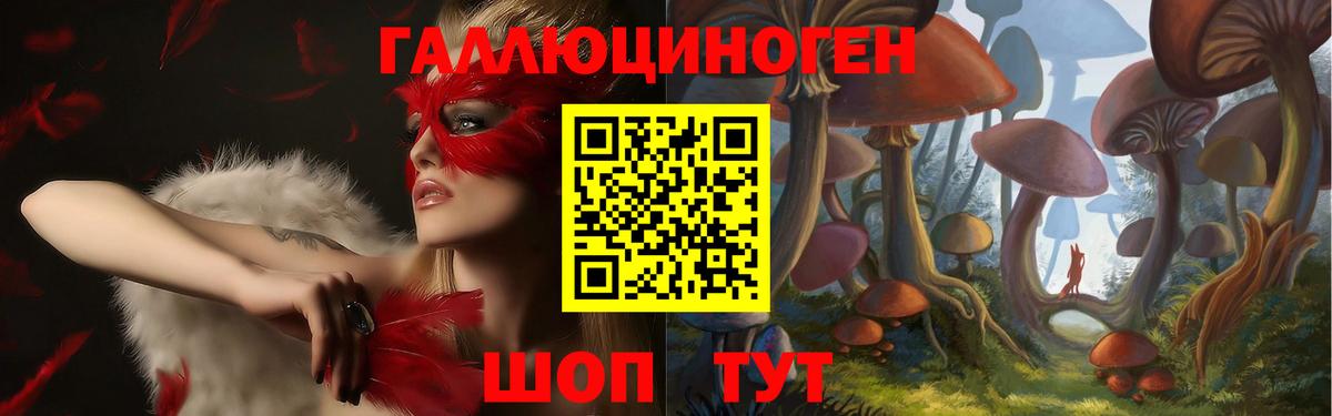 Шебекино  Галлюциногенные грибы мицелий  Вход с VPN 